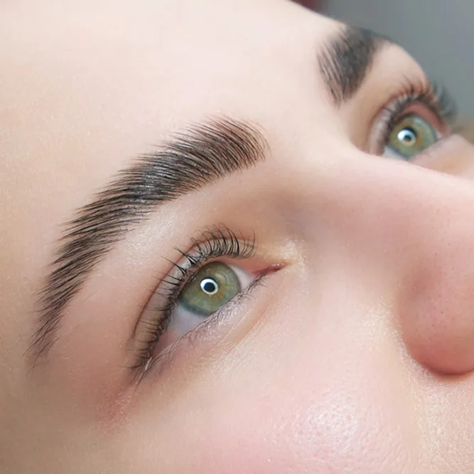 Wimpern- und Brauenlamination
